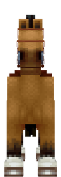 Brown Horse