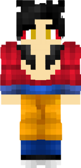 novaskin