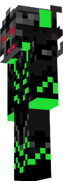 BodyBoxSkin