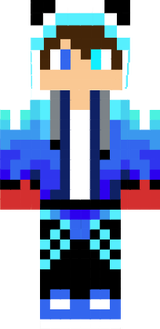 dss