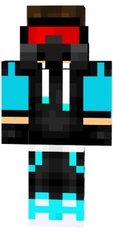 video skin