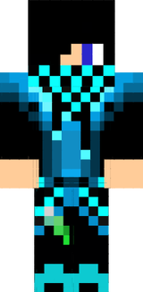 skin