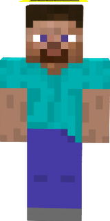 Halo steve