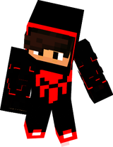 Skin Ninja -Arico 2007 