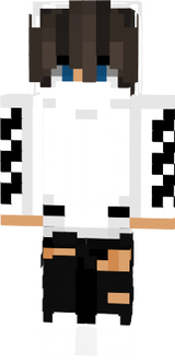skin