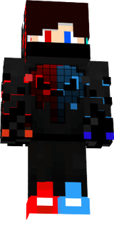 skin