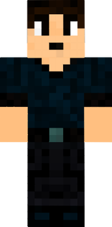1.3 skin 2