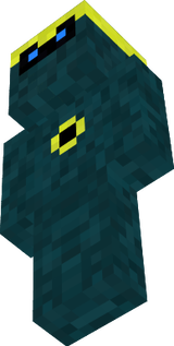 ninja nickelfront