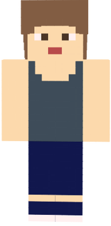 Selin v2
