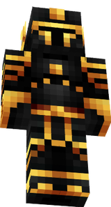 skin