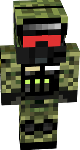 militar profecional
