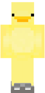 Pato de Sapato
