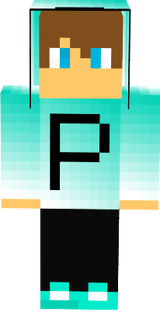pixel 308