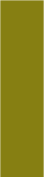 birch_fence