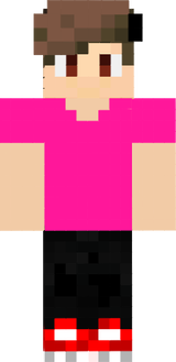 CAMISETA RETA ADR CLTNG ROSA