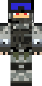 SWAT AVA