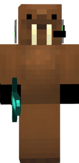 walrus