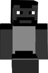 barbe