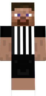 Referee Steve