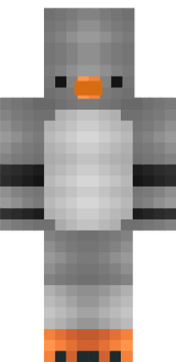 flassshz82