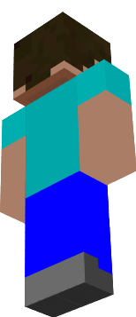 Preview of texture: no texture steve