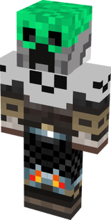 skin 2342