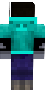 modern steve