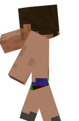 steve-adan