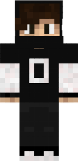 SAARPILIIII