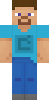 2019 New Steve