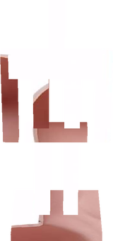 Penis