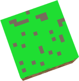 grass