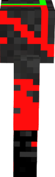 skin