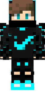 Skins.Pro