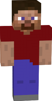 Preview of texture: Steve Bros