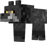 Black Wolf