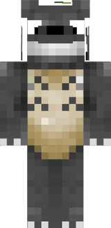 トトロ、マイクラ