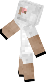 sheep