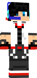 skin zick