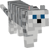 Cat Grey and White Tabby (Lis)