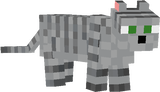 Cat Grey Tabby (Lis)