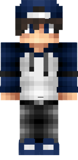 PandaDusBan