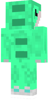 skin2
