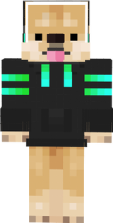 haugaming1