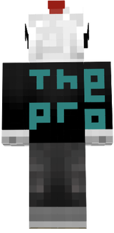 THE_PRO_10