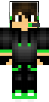 skin