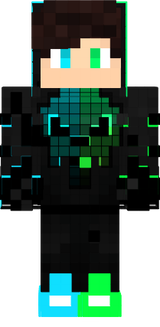 swf