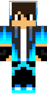 skin 1