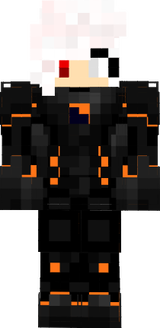Armour
