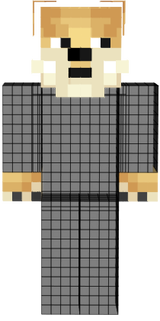 Doge skin